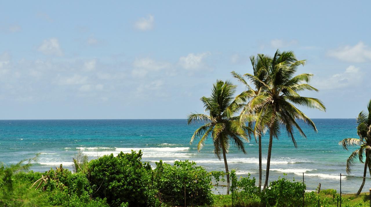 Studio Anse des Rochers Saint-Francois  Exterior foto